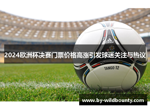 2024欧洲杯决赛门票价格高涨引发球迷关注与热议